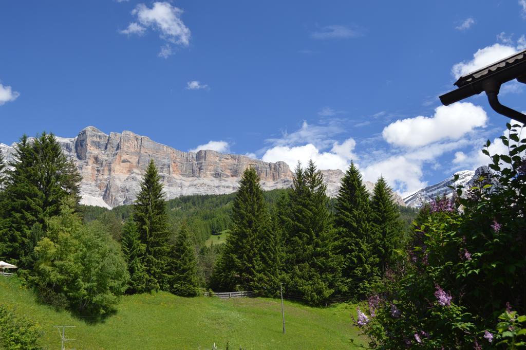 Ciasa Andy Badia (South Tyrol) Exterior foto