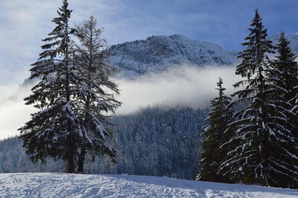 Ciasa Andy Badia (South Tyrol) Exterior foto