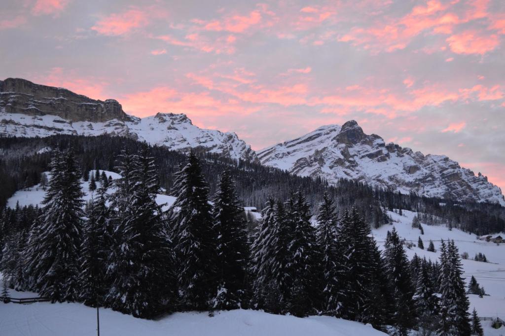 Ciasa Andy Badia (South Tyrol) Exterior foto