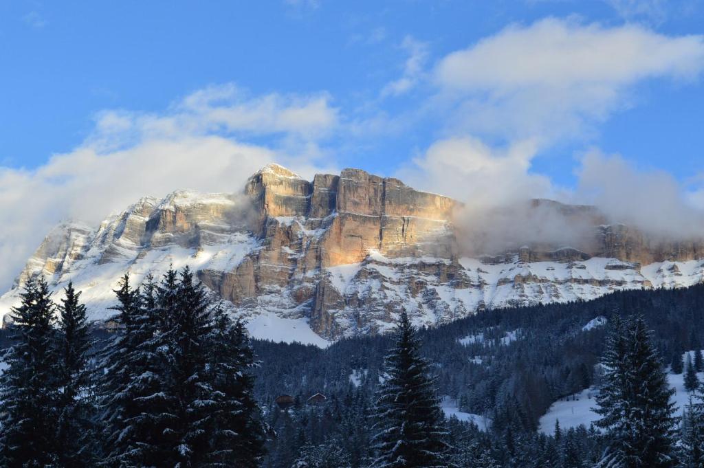 Ciasa Andy Badia (South Tyrol) Exterior foto